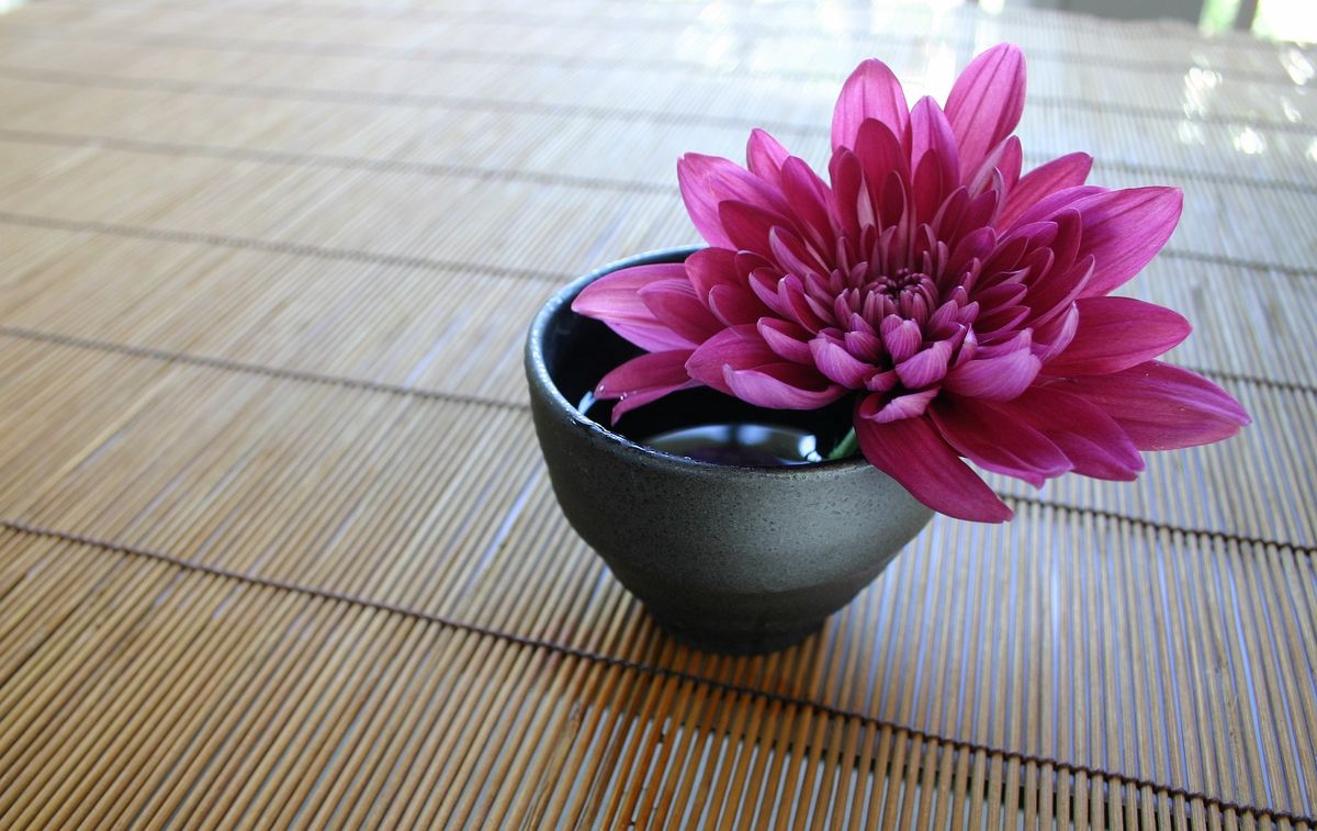 Ayurveda & Pranayama Healing Retreat