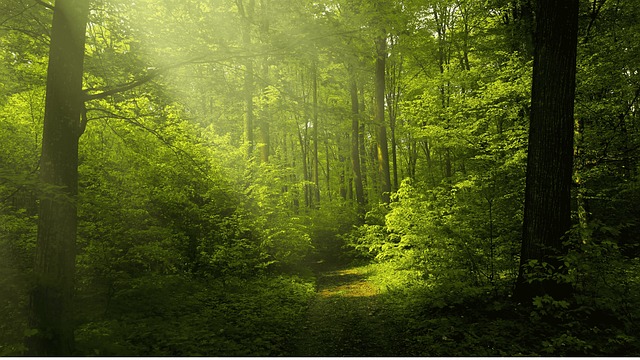 What's new in ISO 14001:2026?