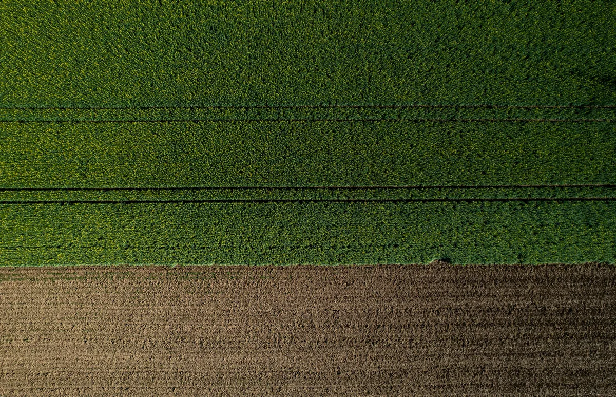 Reporting with GRI 13: Agriculture, Aquaculture and Fishing Sectors 2022