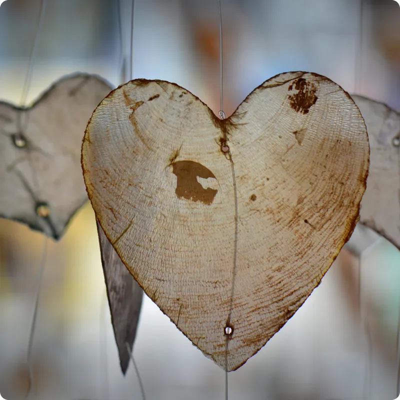 Embodied Self Empathy