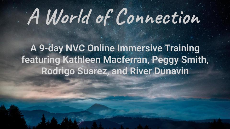 Online Immersive Training - 9 Days