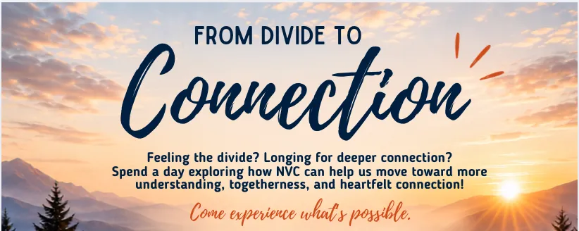 Online Immersive Training PREVIEW EVENT: From Divide to Connection