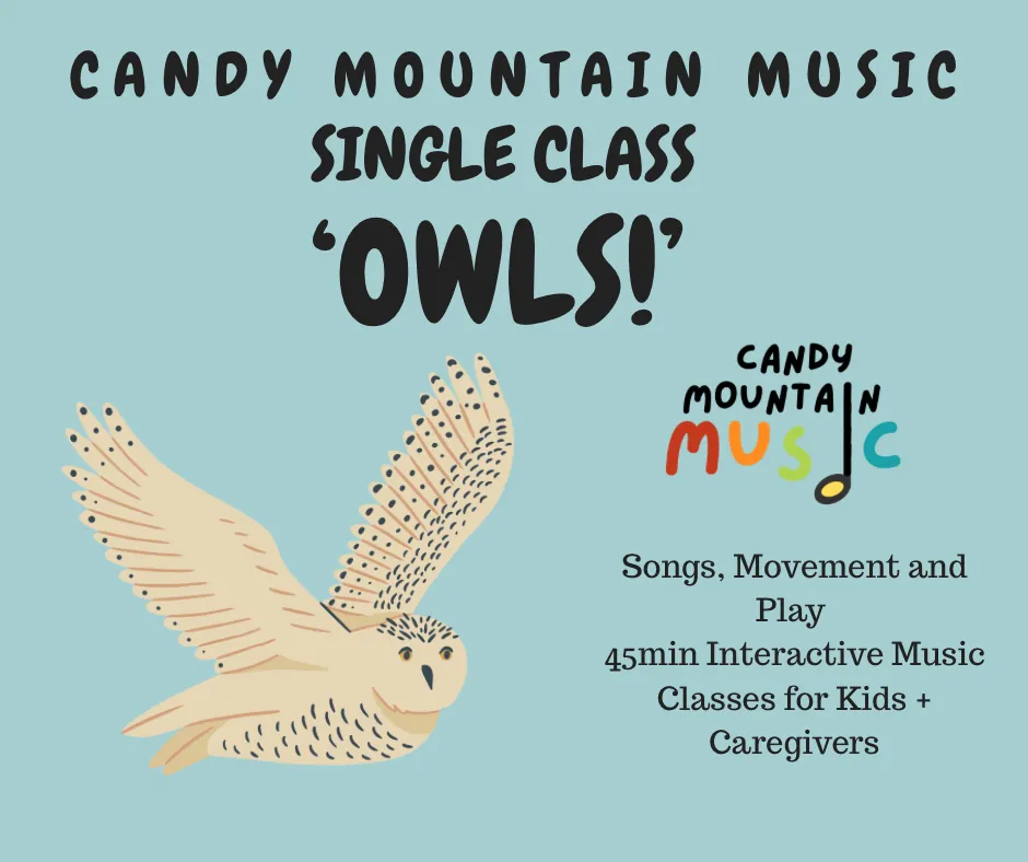 Single Class (Ages 1-3yrs) Theme: OWLS! FRI 9:30am