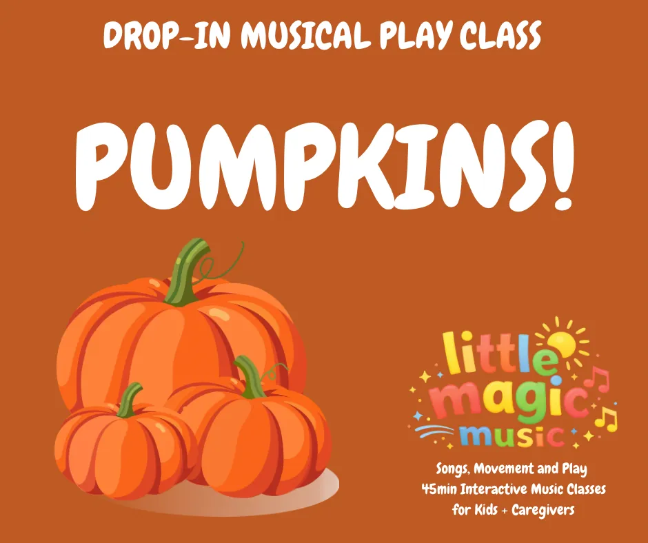 SAT 9am BABY/ YOUNG TODDLER (Ages 6m-18m) Musical Play Class