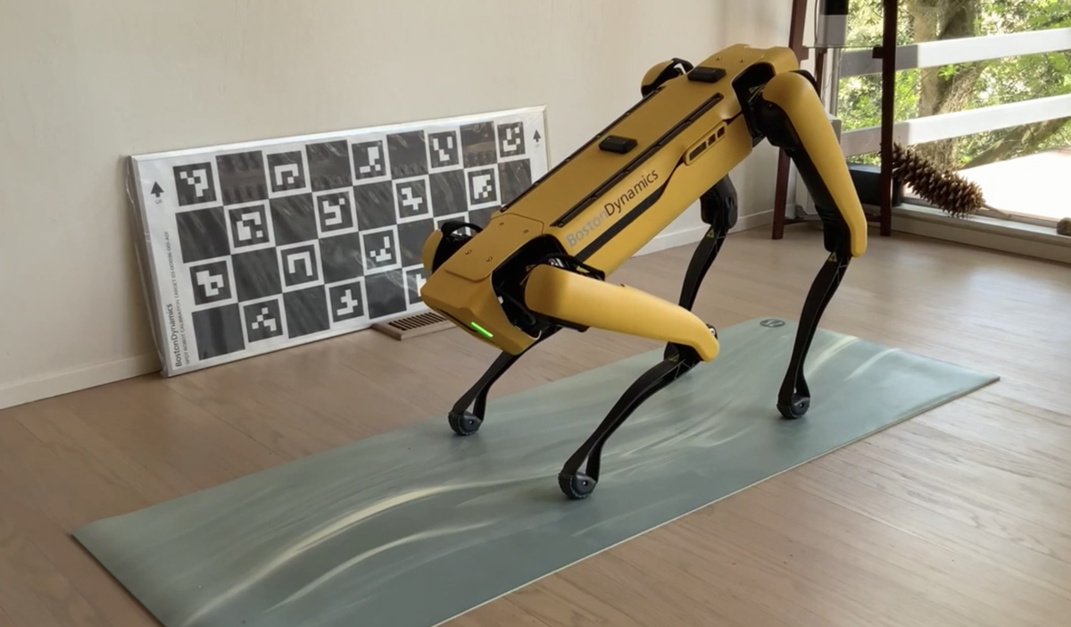 Training Bootcamp: Boston Dynamics Spot