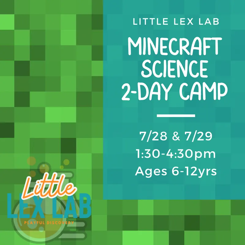 MINECRAFT 2-Day Camp (Ages 6-12yrs)
