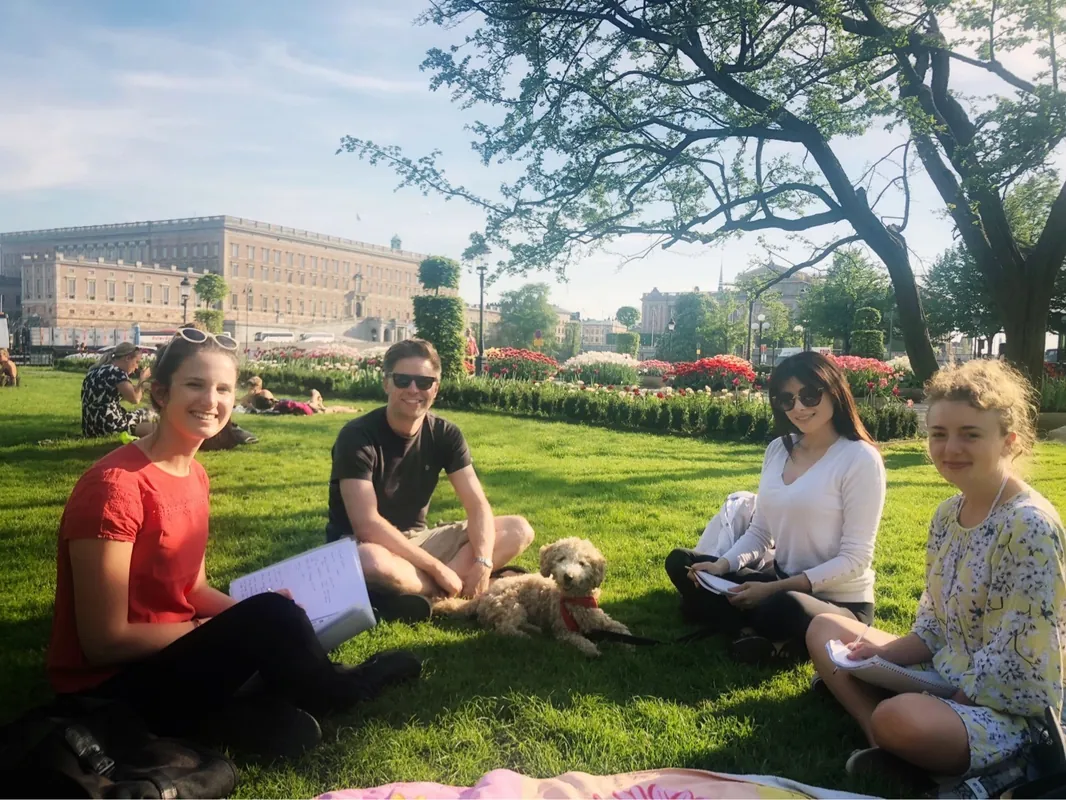 Swedish for Beginners (Level A1) Summer Course