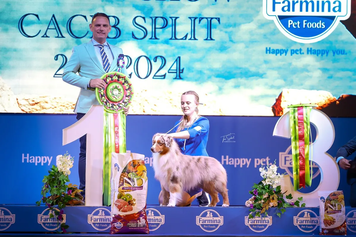 Näitusetreening, teisipäeval 04. novembril kell 18:00 (Marja 9), Treener Karen Dunaway