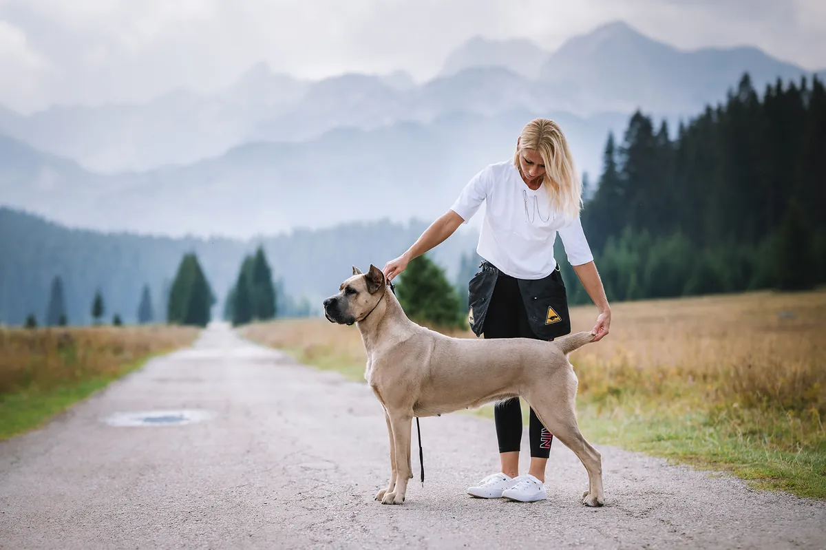 Näitusetreening, pühapäeval 01. märtsil kell 19:00 (Marja 9), Treener Livia Kask