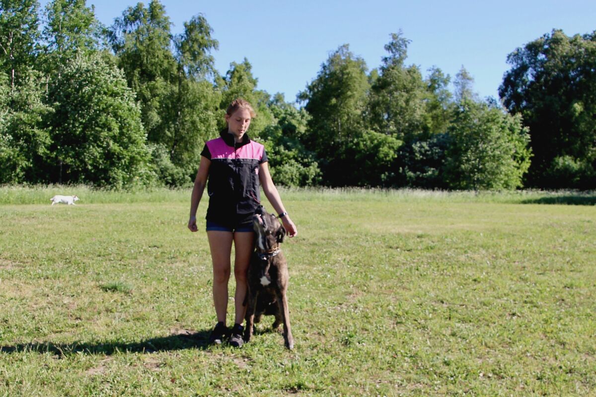 Kuulekuskoolituse algkursus kolmapäeval, 18. märtsil 19:00 (Järvekülas). Treener Terje Peramets