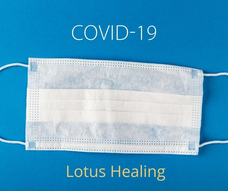 Lotus Healing: In the Time of COVID (Part II)