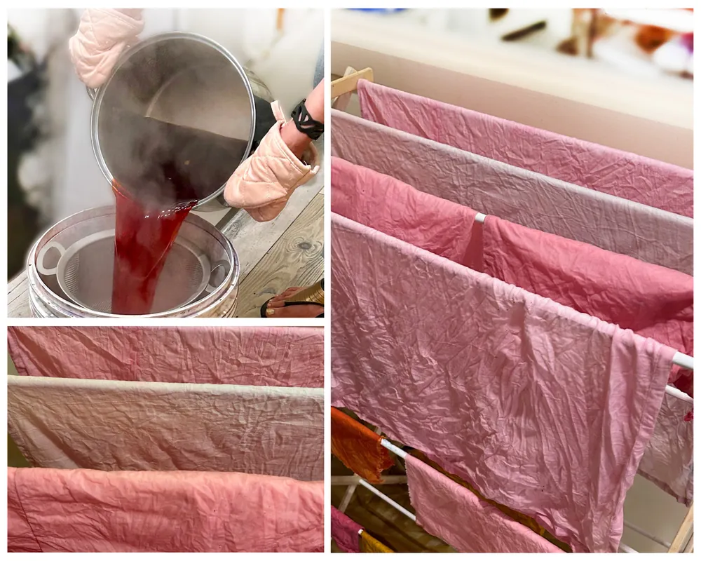 Cochineal Dyeing: Crimson & Cloth