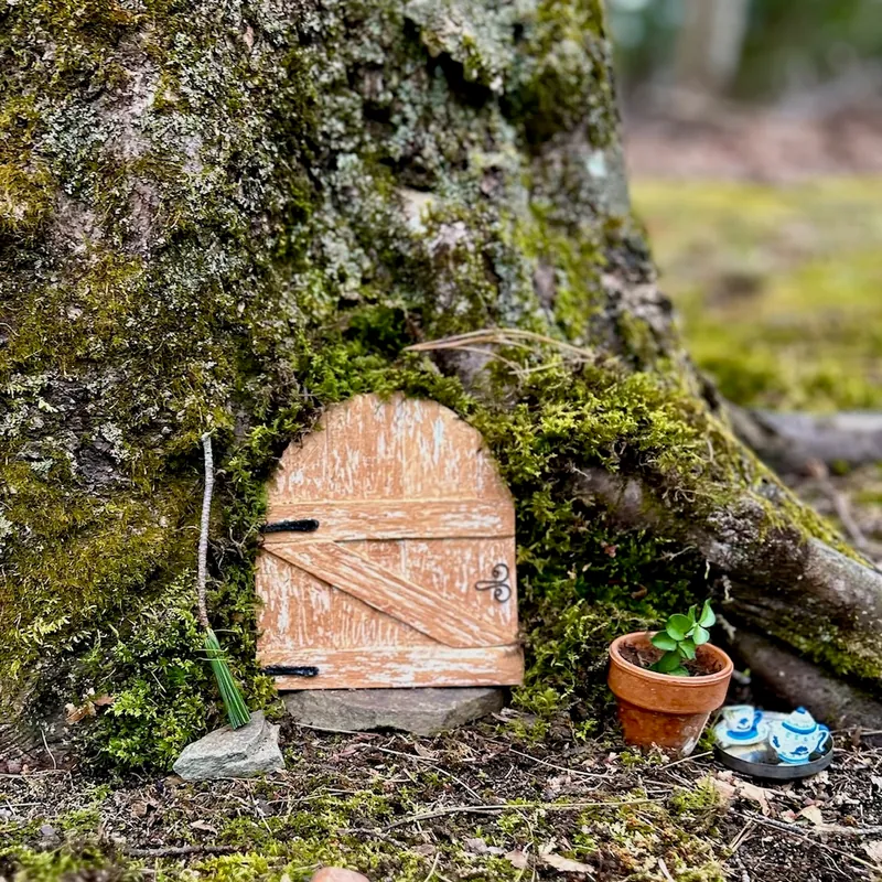 The Enchanted Forest - Morning Session