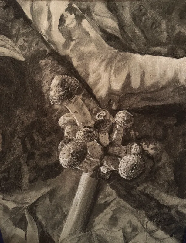 Intro to charcoal: shading and sketching - Session 3