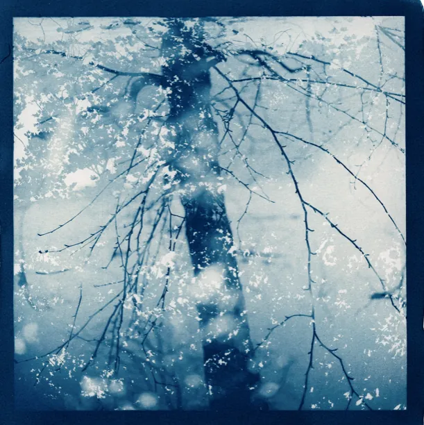 Cyanotype: A Hands-On Introduction to the Blue Print Process