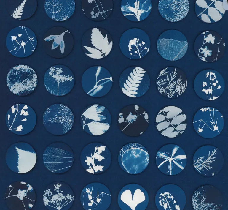World Cyanotype Day: Family Sun Prints