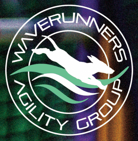 Novice Dog (Class space - 1 x AVAILABLE)