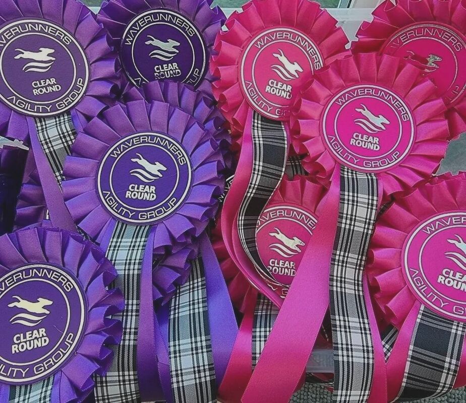 Steeplechase Fundraising Show