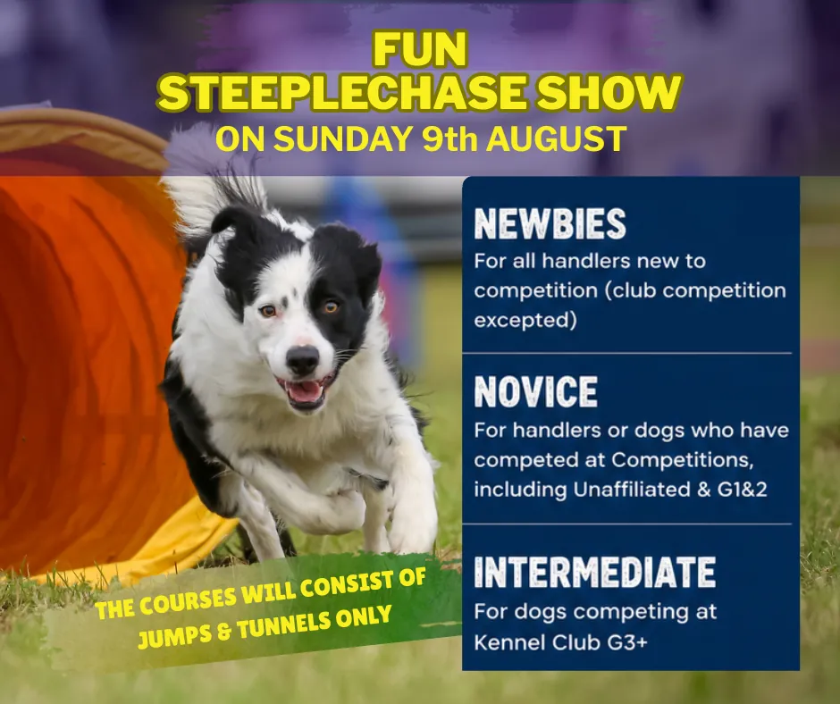 Steeplechase Show