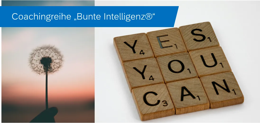 Glückseinheit - "Bunte Intelligenz®“