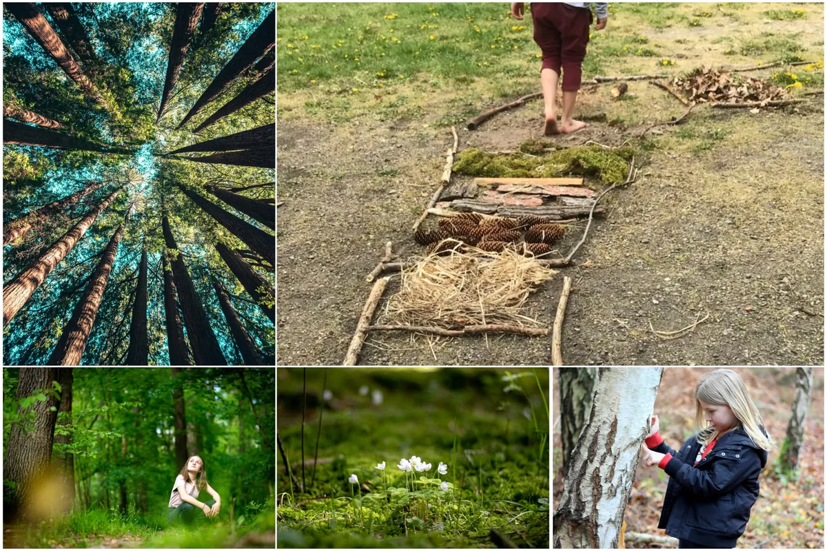 Workshop "Mit allen Sinnen die Natur erleben" (5-8 Jahre)