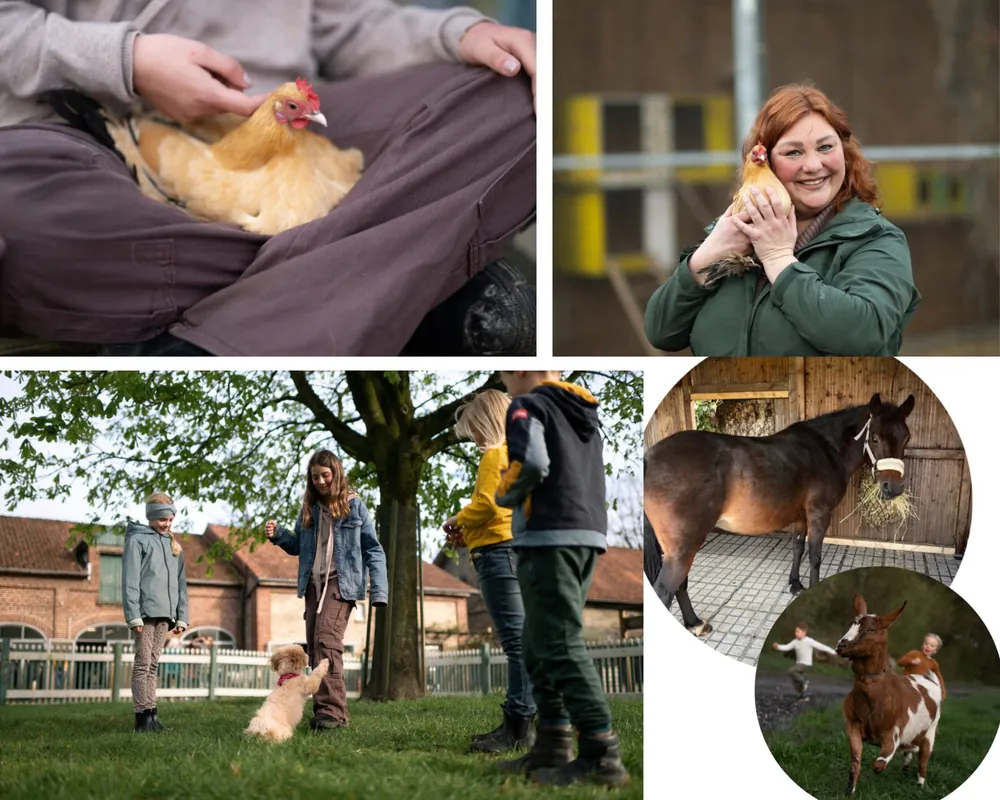Erlebnispädagogischer Tag mit ausgebildeten Tieren (für Kids 9-12 Jahre)