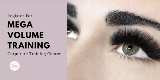 Mega Volume Training-  Walnut Creek, CA (Suzy ElMarakby)