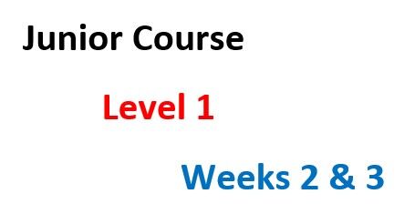 Level 1 Start Sailing. Weeks 2 & 3.