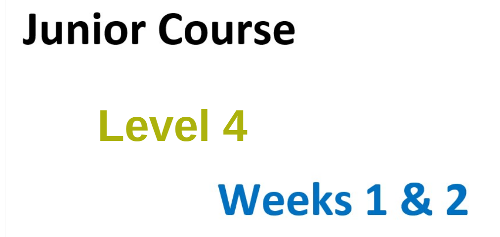 Level 4 Advanced Boat Handling. Weeks 1 and 2.