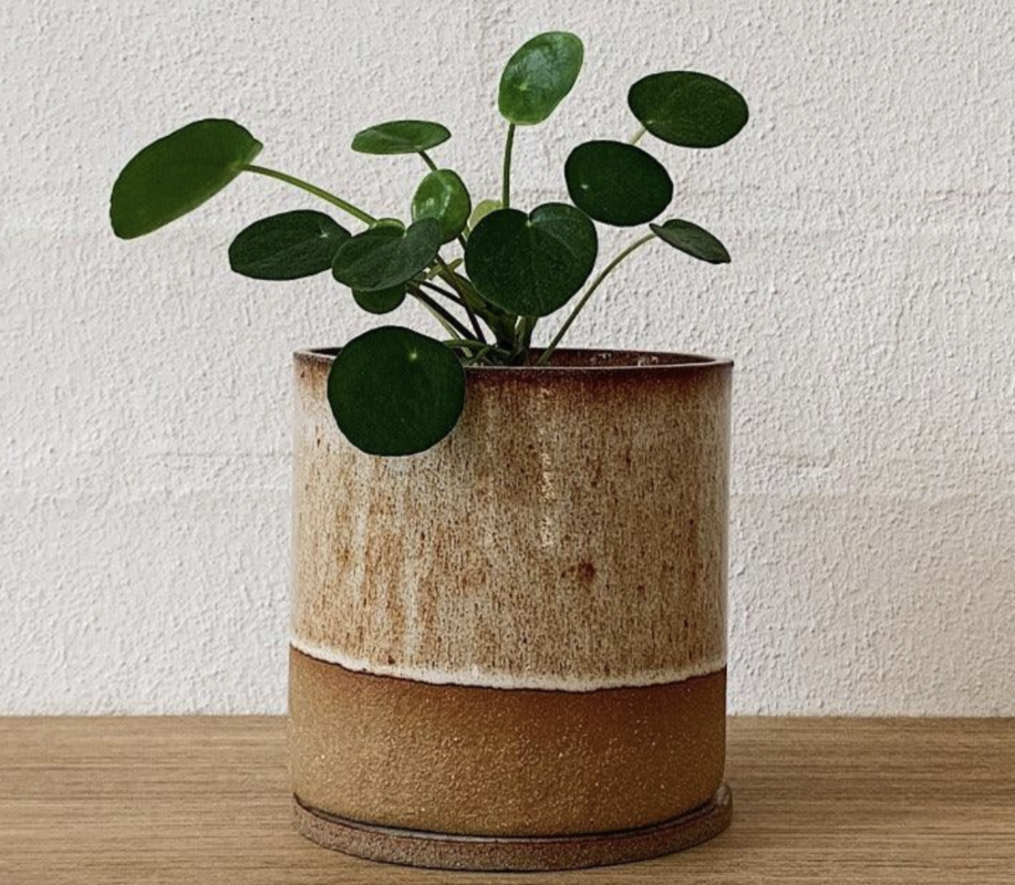 Make your own planter & vase (hand building)