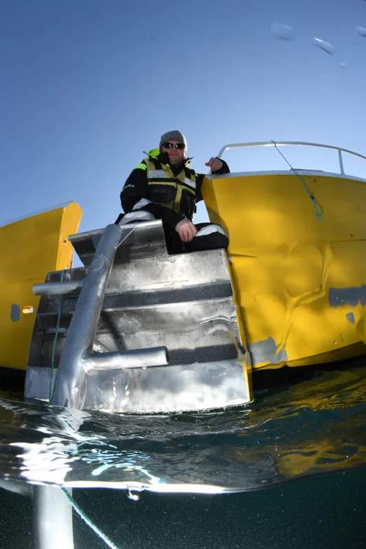 Norge - Veiholmen Vår 2026!