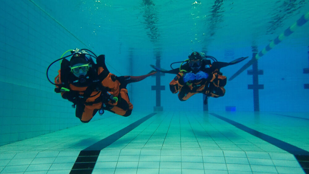 PADI Reactivate