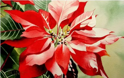 Artac - Watercolor - “Seeing Red!”