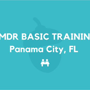 EMDR Basic Training FSU Panama City, FL March & May 2027