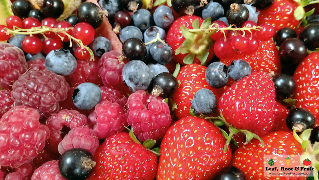 Grow Great Berries Workshop