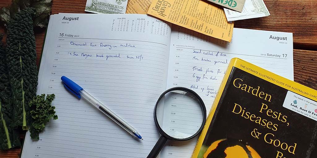 Garden Planning: Seasonality and Timing