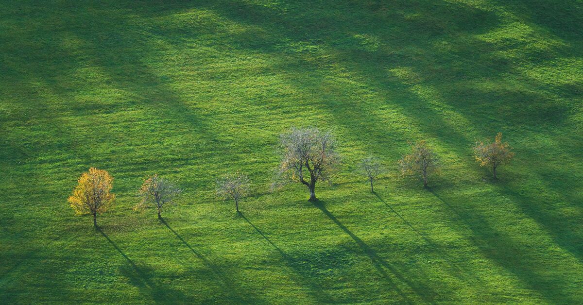 Landscape Photography