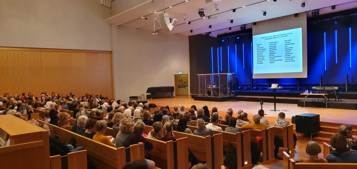 NORRKÖPING EXTRAINSATT föreläsning "Det vi irriterar oss på hos andra säger något om oss själva"