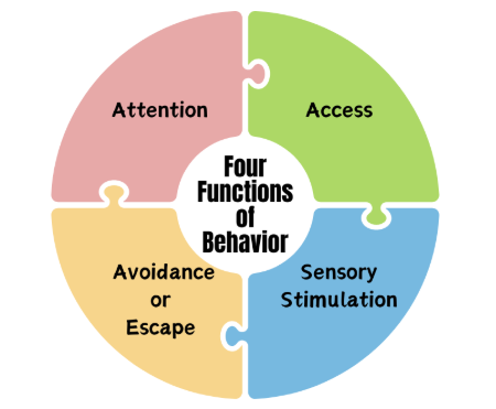 Understanding Behavior (Basic Function of Behavior)- In-Person Option