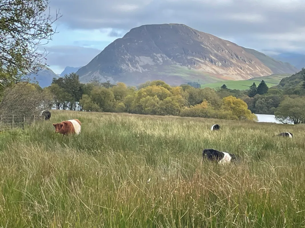 Keswick Convention