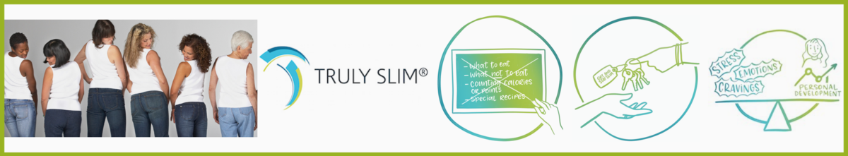 TRULY SLIM Workshop in Palo Alto, March 7 & 14, 2020