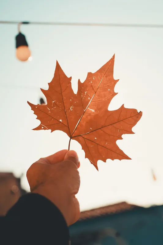 Children’s Watercolor: Autumn Leaf Prints
