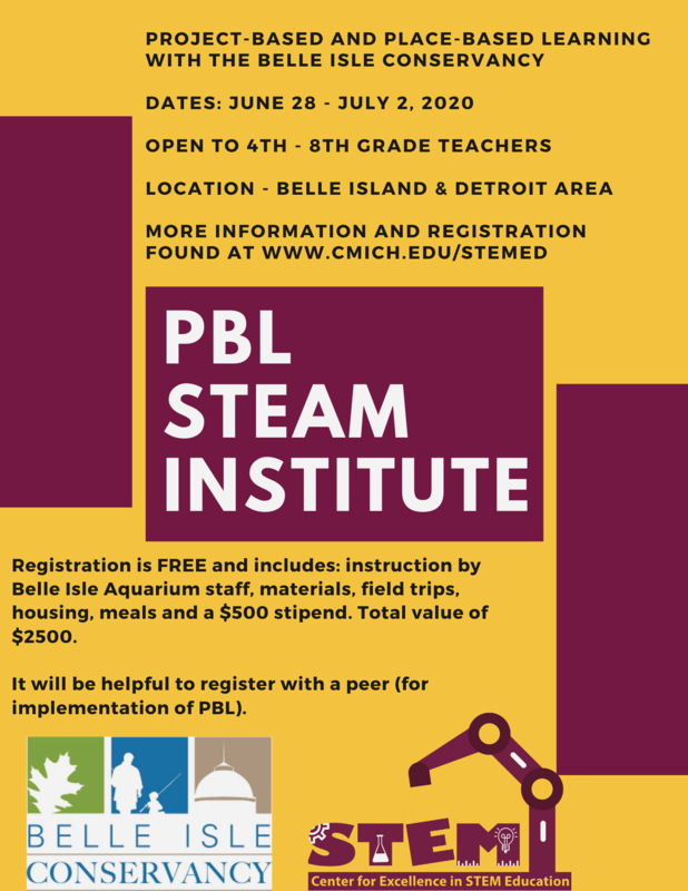 Place-Based and Project-Based STEAM Institute