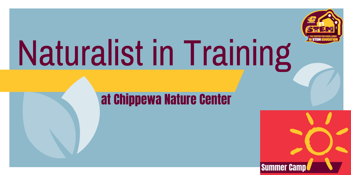 Naturalist in Training at Chippewa Nature Center