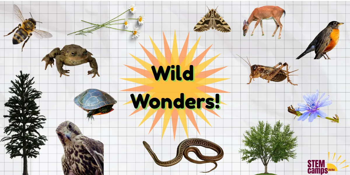 Wild Wonders!