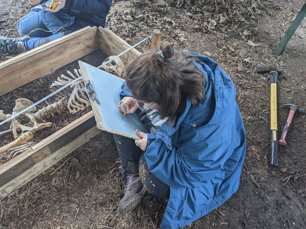 Spring 1 2027 - Forensic Anthropology: Dead Men Do Tell Tales - APPLY FOR FREE