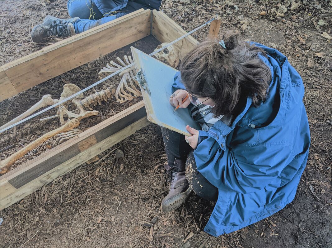 MU Students Forensic Anthropology: Dead Men Do Tell Tales August 2026 (AN353)