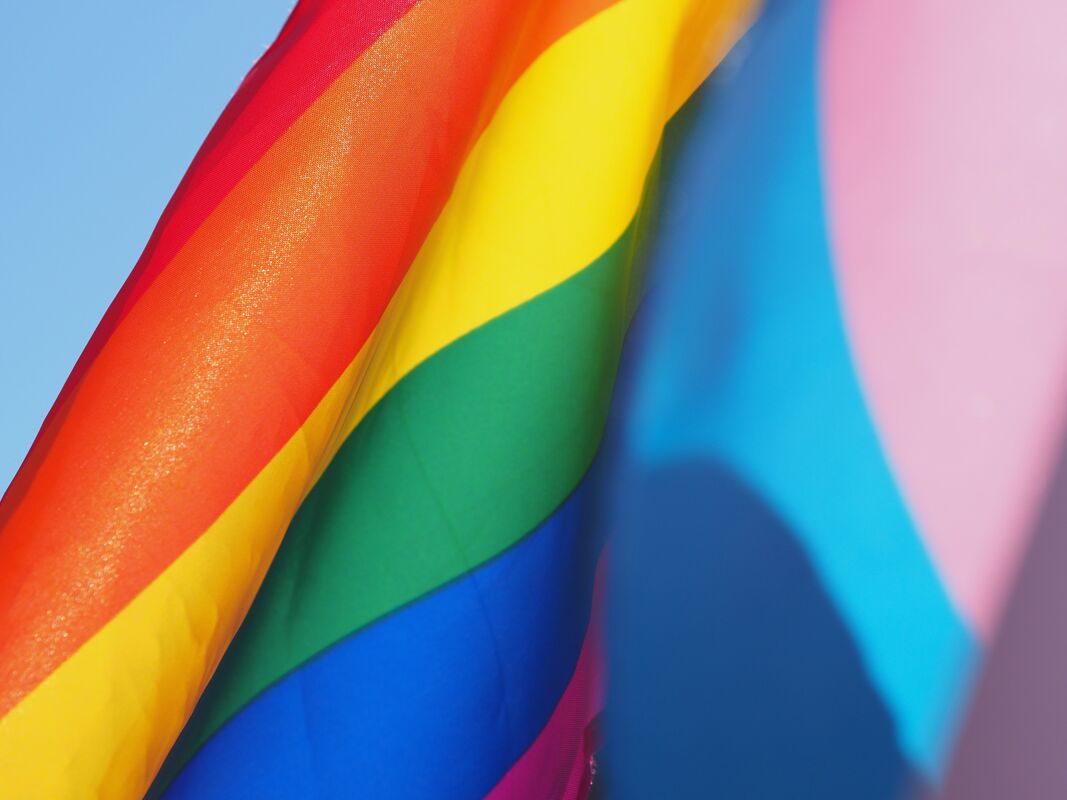 Writing the Queer and the Quotidian (Wednesday Evenings)