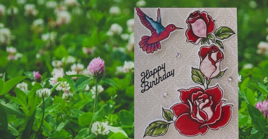 3567 Card Making B