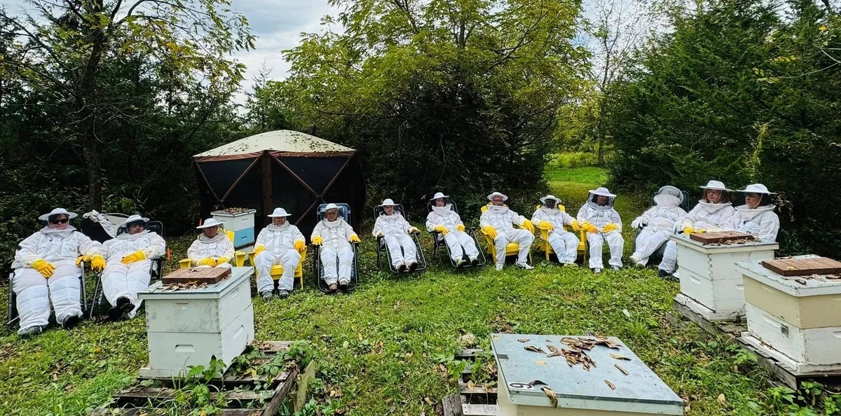 6724 Healing with Honeybees: A Sensory Journey into the Hive